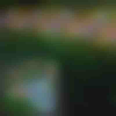 Napelemes Kültéri Pillangófények | FLUTIX