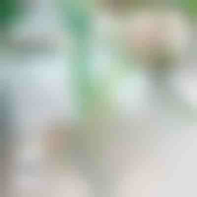 Növény támasztó | ROOTZI