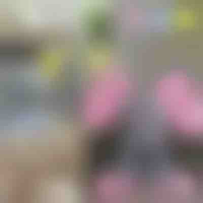 TRUMPY az éneklő elefánt