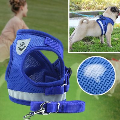 Állítható fényvisszaverő hám és póráz | LEASHNGO