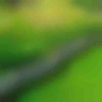 Kőhatású kerti szegély (10 db) | MINIFENCE