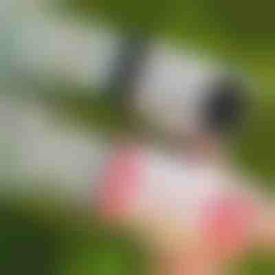 69-lyukú LED buborékfújó | BUBBLEPUFF