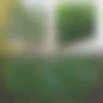 Dekoratív és praktikus kerítés teraszra és kertbe | GREENFENCE