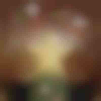 Karácsonyfa csúcsdísz vetítő | FLAKELITE