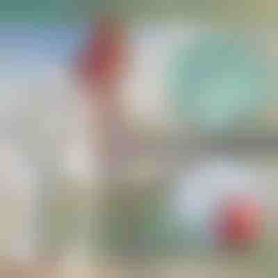 Teleszkópos fém csónakhorgony | FASTDOCK